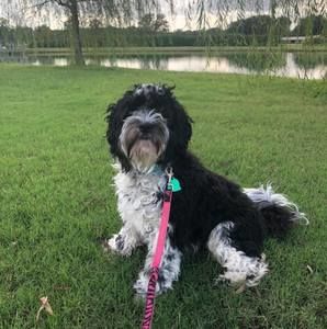 Meet your Posher, Christine